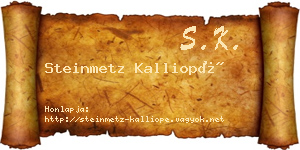 Steinmetz Kalliopé névjegykártya